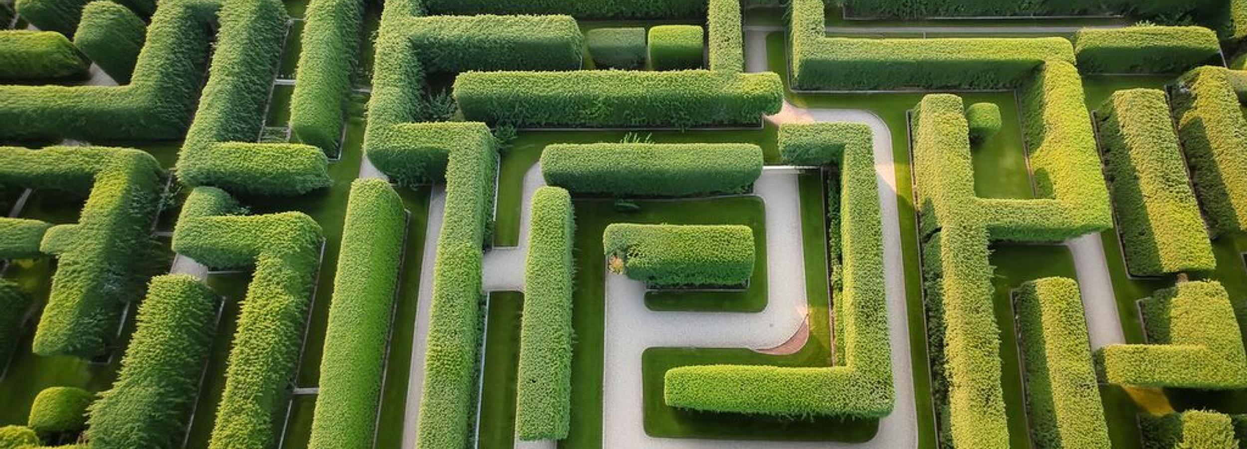 Pharma Services Maze